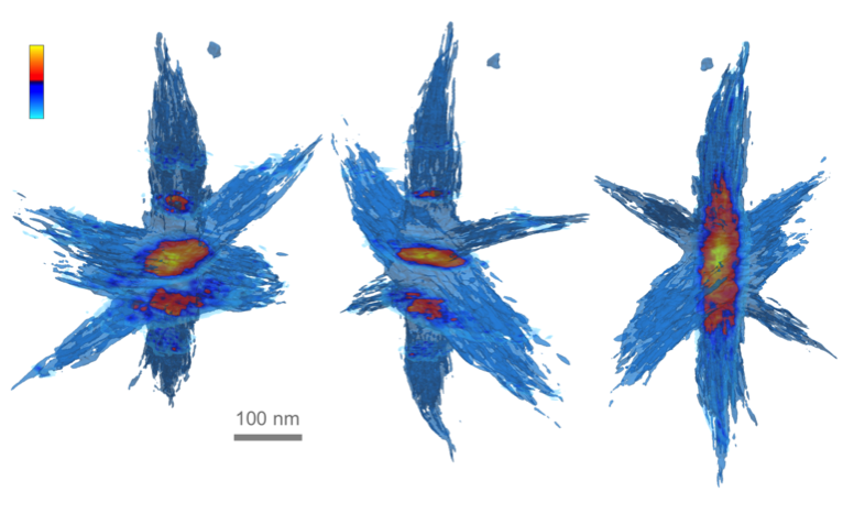 hyperbranched nanoparticle